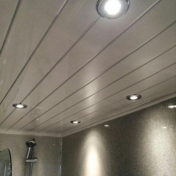 Bathroom Ceiling