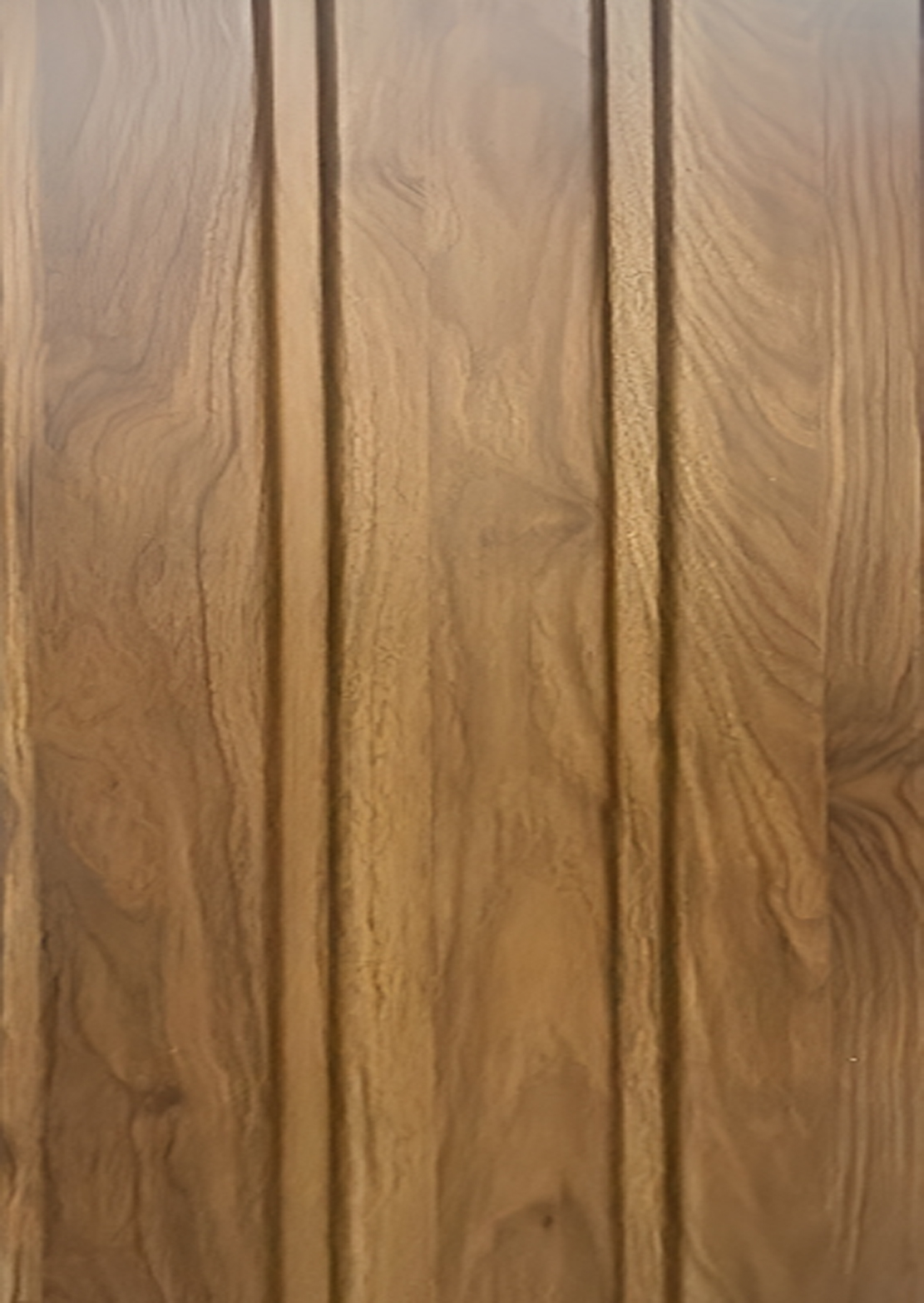 Panel